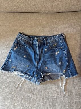 American Eagle Outfitters Blue Distressed Denim Shorts with Floral Embroidery